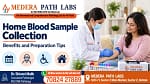 Home Blood Sample Collection Benefits and Preparation Tips